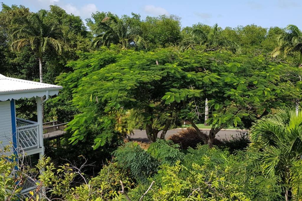 Paradisiac Lagoon Lägenhet Saint-Francois  Exteriör bild